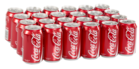 Coca Cola 24’lü koli